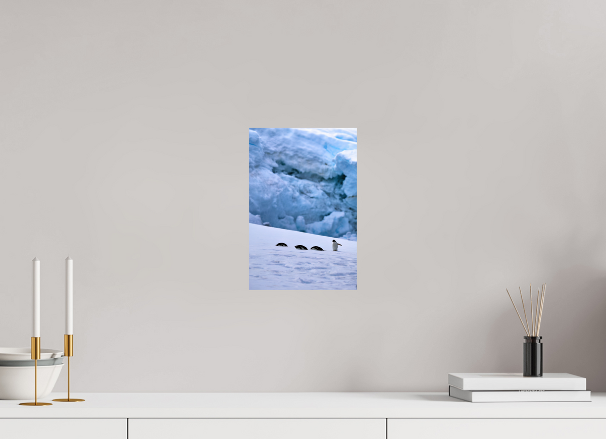 8 x 12″, Glossy Print (Unframed) A4
