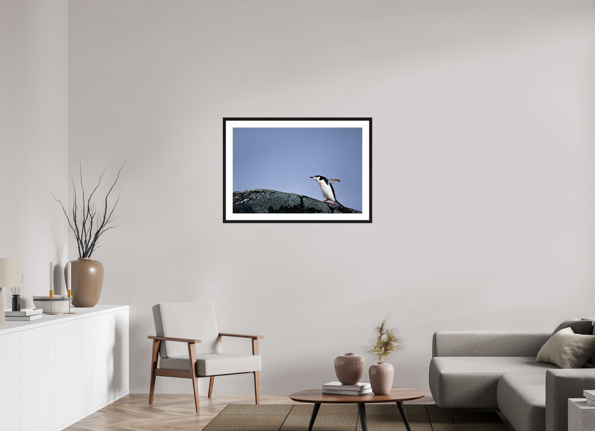 36 x 24″, Glossy Print (Framed) A7