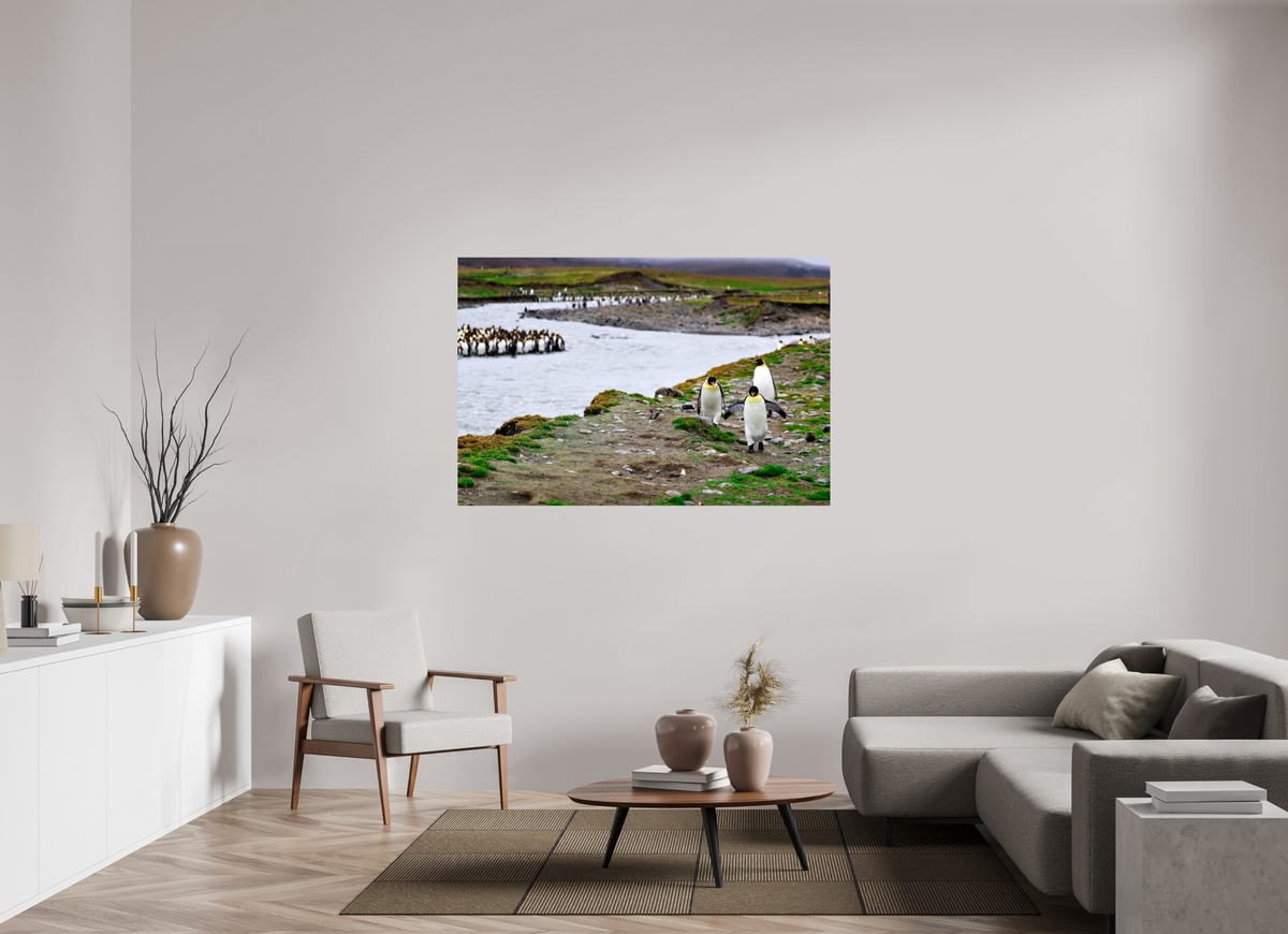 60 x 40″, Glossy Print (Unframed) A14