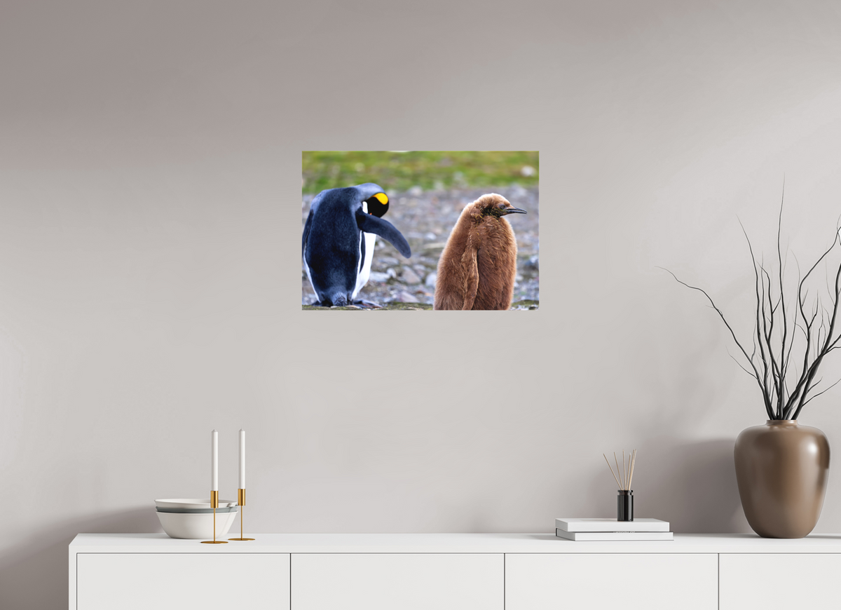 24 x 16″, Canvas Print A19