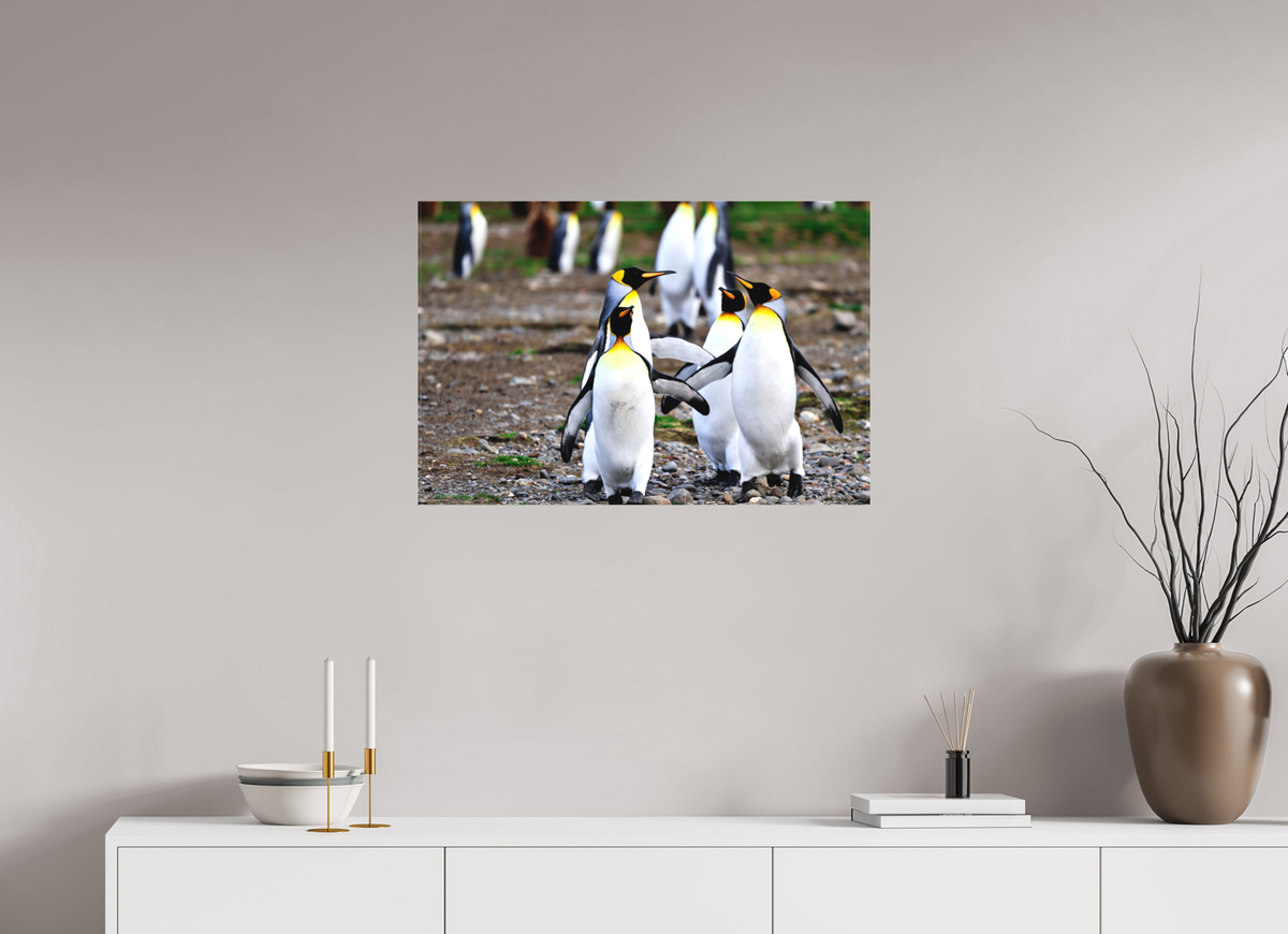 30 x 20″, Canvas Print A20