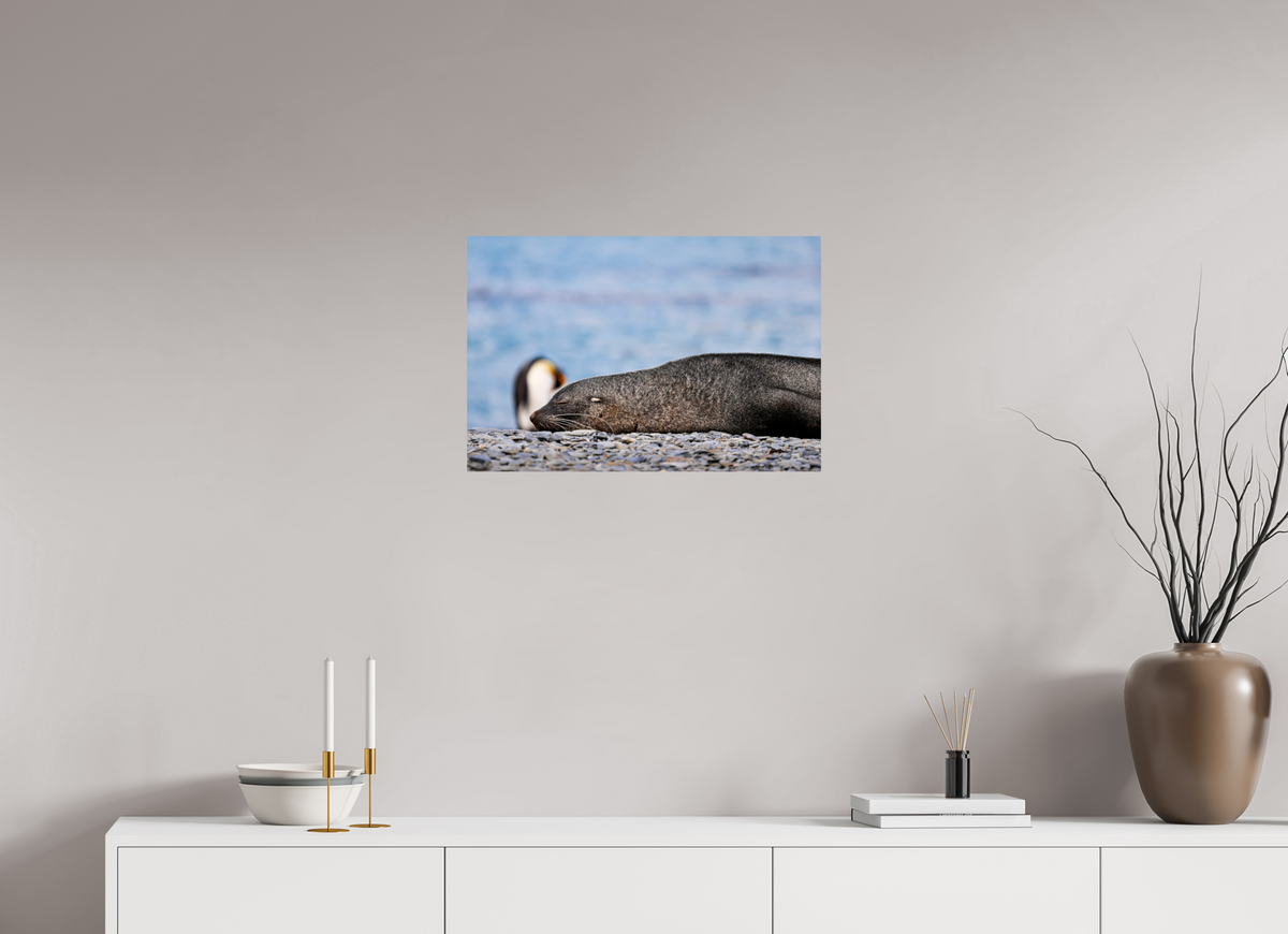 24 x 16″, Glossy Print (Unframed) A17