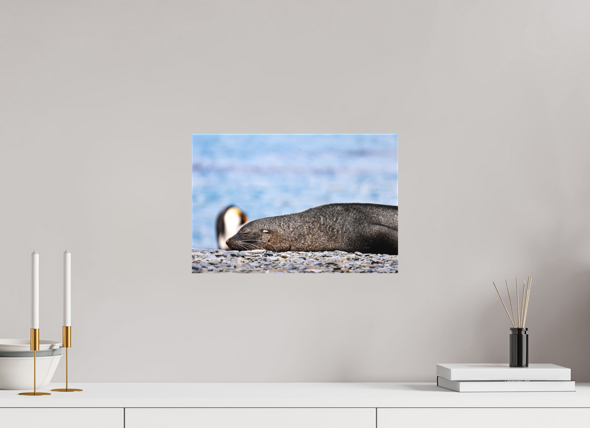 15 x 10″, Canvas Print A17