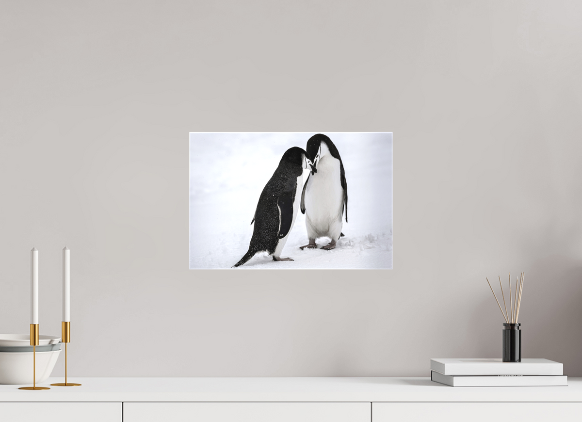 15 x 10″, Canvas Print A5