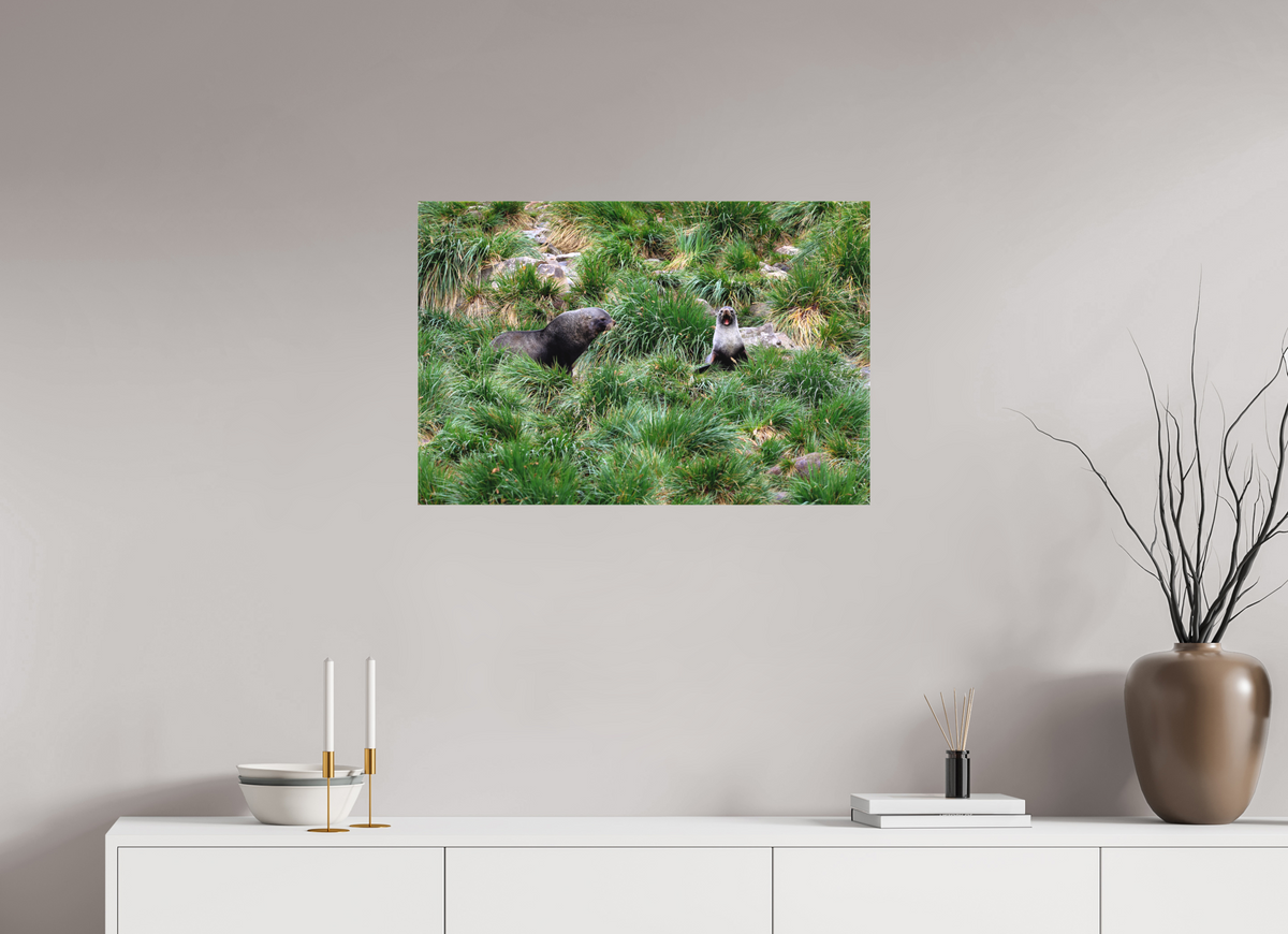 30 x 20″, Canvas Print A23