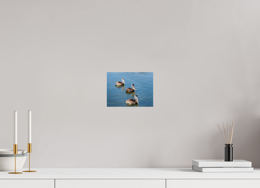 8 x 6″, Glossy Print (Unframed) Triple Brown Pelican