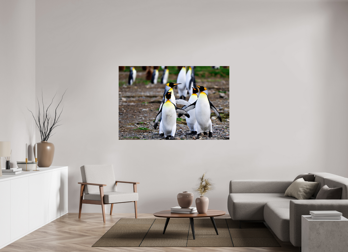 66 x 44″, Glossy Print (Unframed) A20