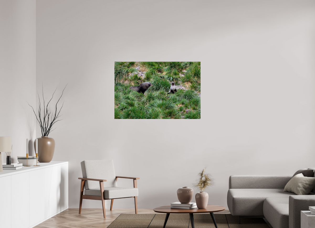 45 x 30″, Glossy Print (Unframed) A23