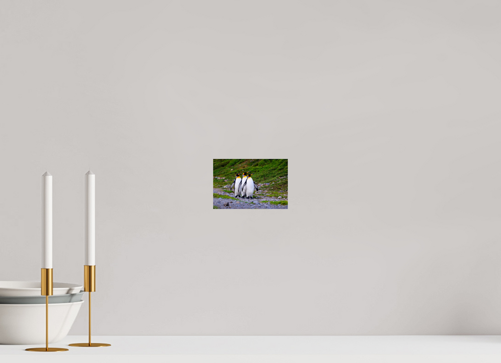6 x 4″, Glossy Print (Unframed) A18