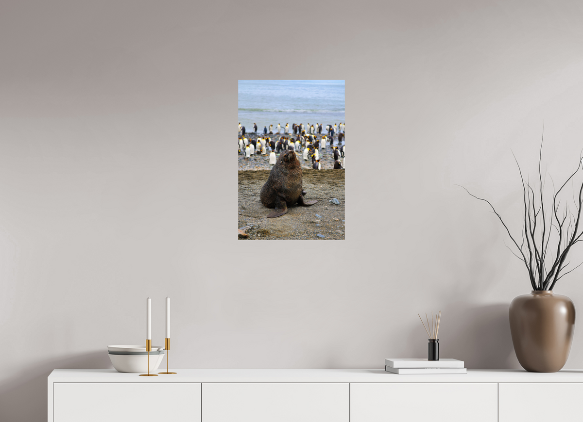 16 x 24″, Glossy Print (Unframed) A11