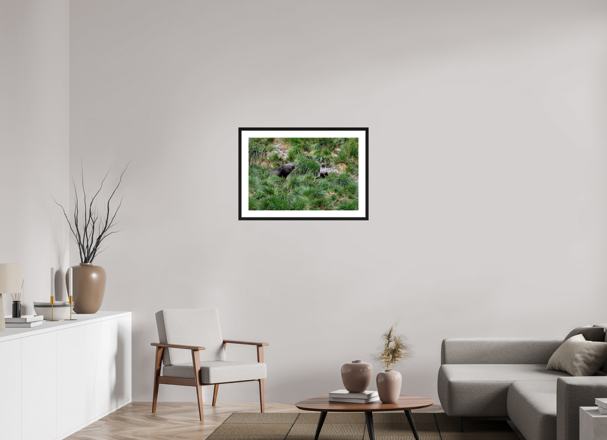 30 x 20″, Glossy Print (Framed) A23