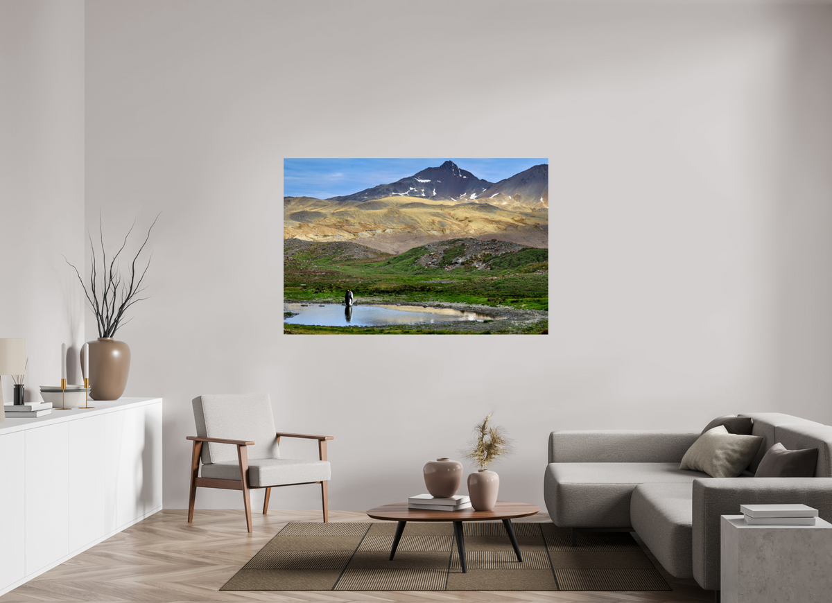 66 x 44″, Glossy Print (Unframed) A21