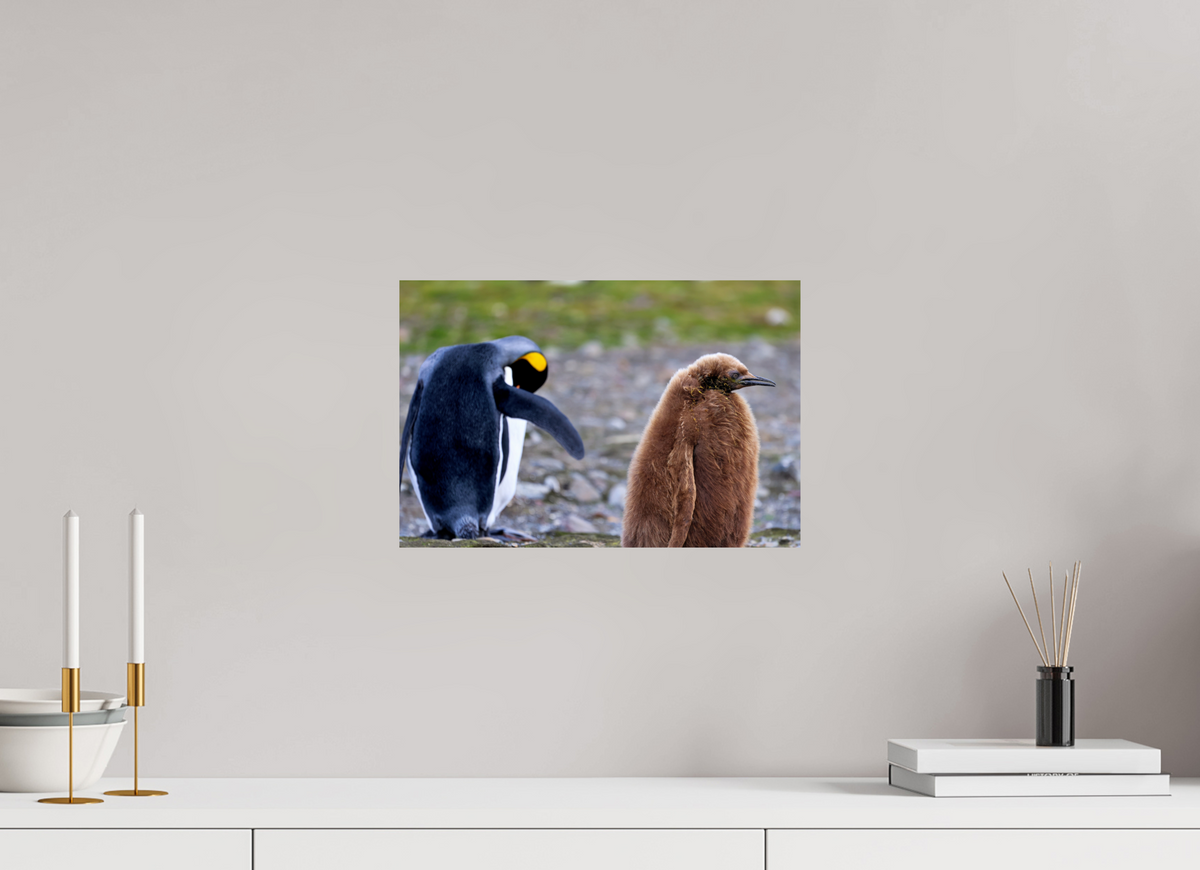 15 x 10″, Glossy Print (Unframed) A19