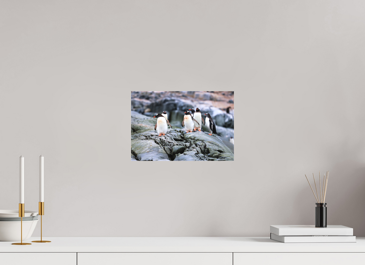12 x 8″, Canvas Print A1