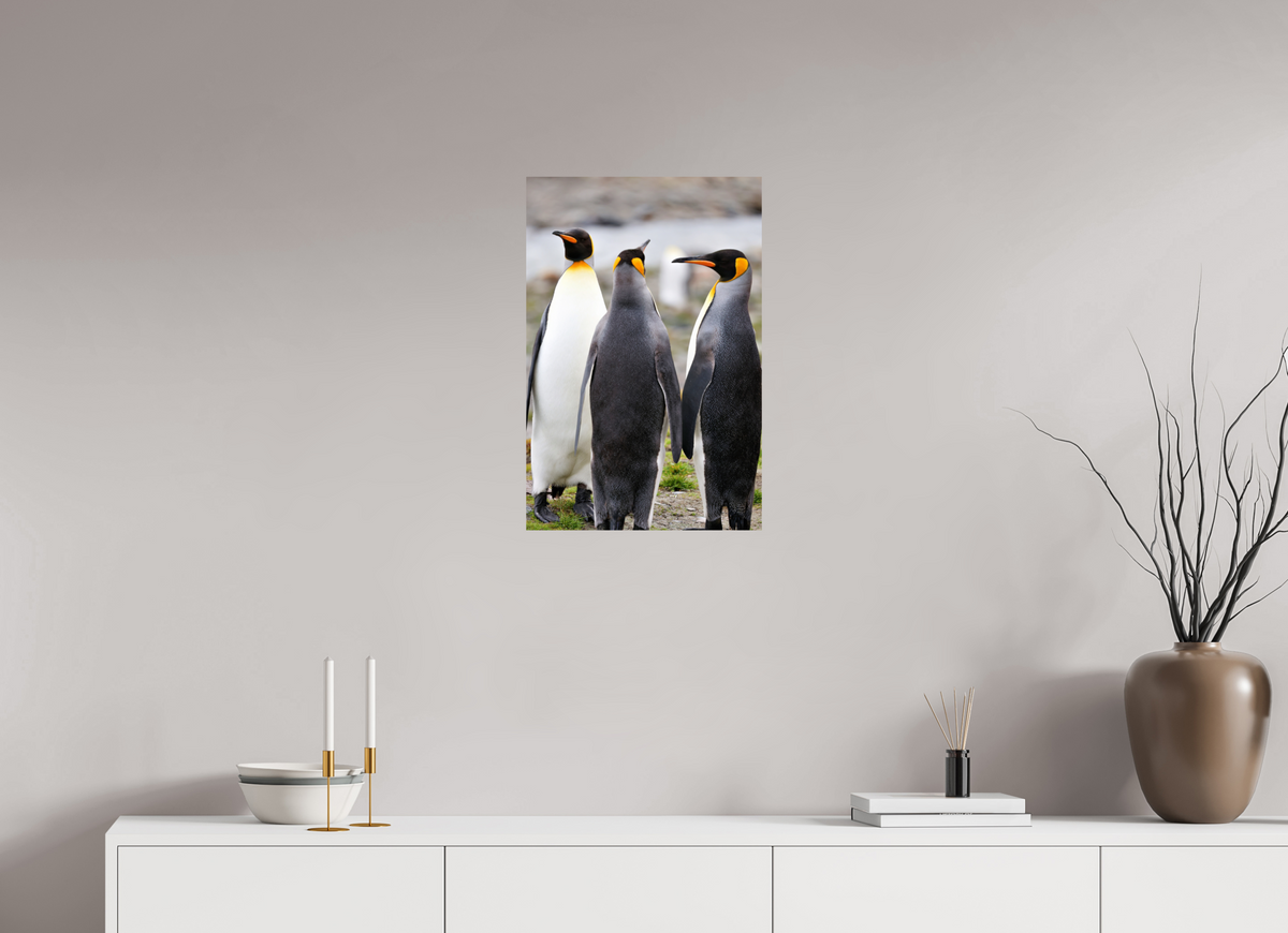 16 x 24″, Glossy Print (Unframed) A13