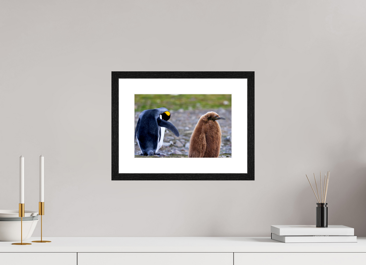 12 x 8″, Glossy Print (Framed) A19