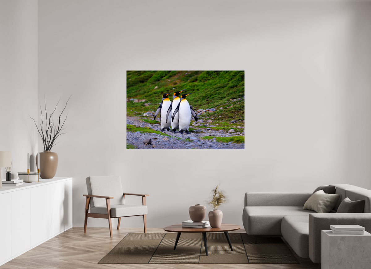 66 x 44″, Glossy Print (Unframed) A18