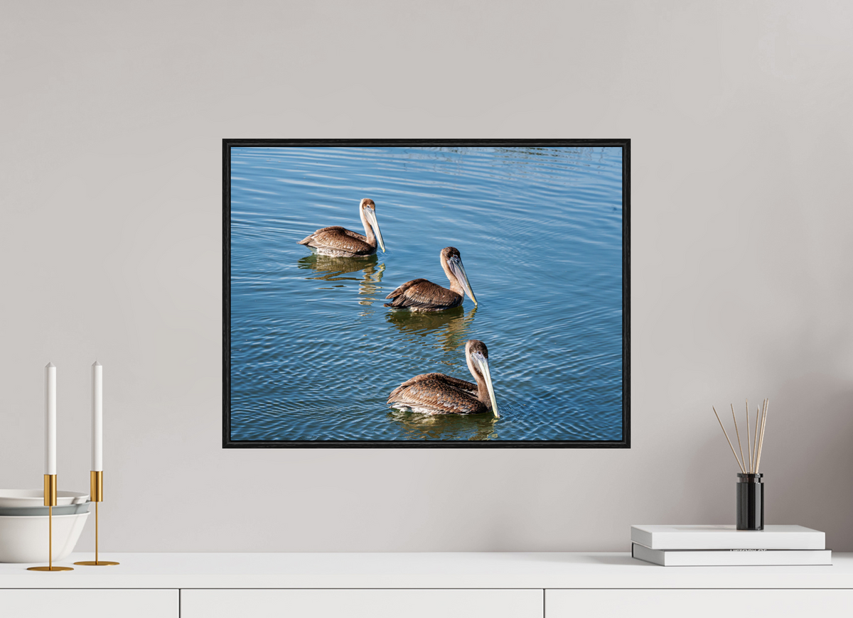 20 x 15″, Acrylic under Glass (Framed) Triple Brown Pelican