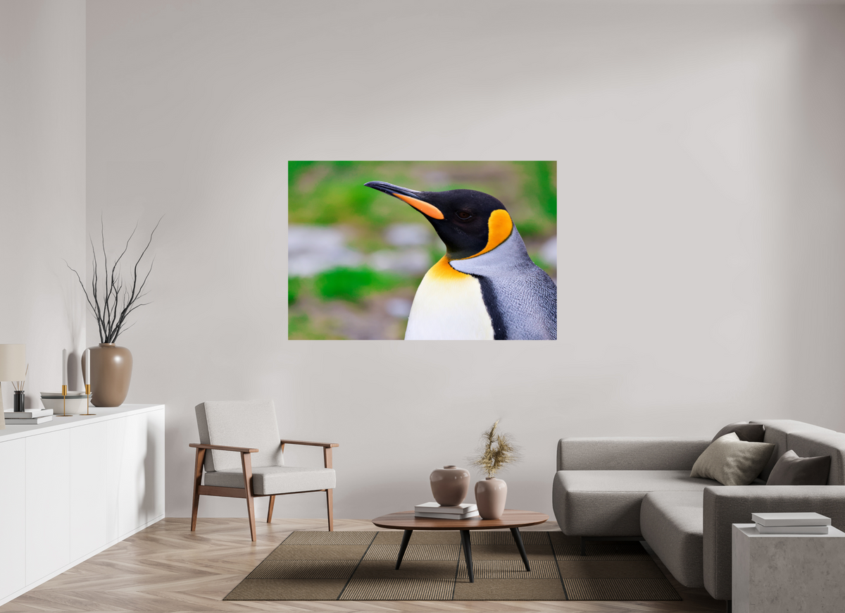 66 x 44″, Glossy Print (Unframed) A12