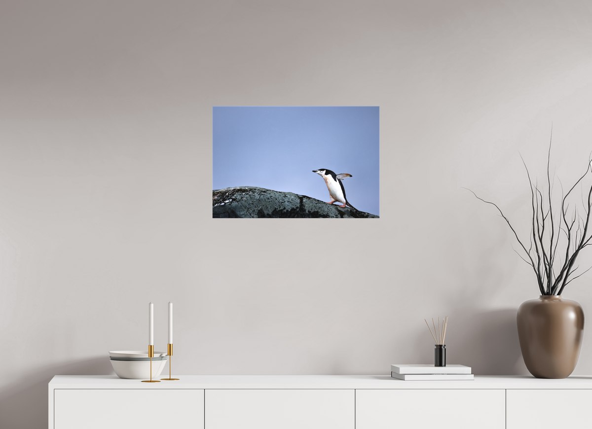 24 x 16″, Canvas Print A7