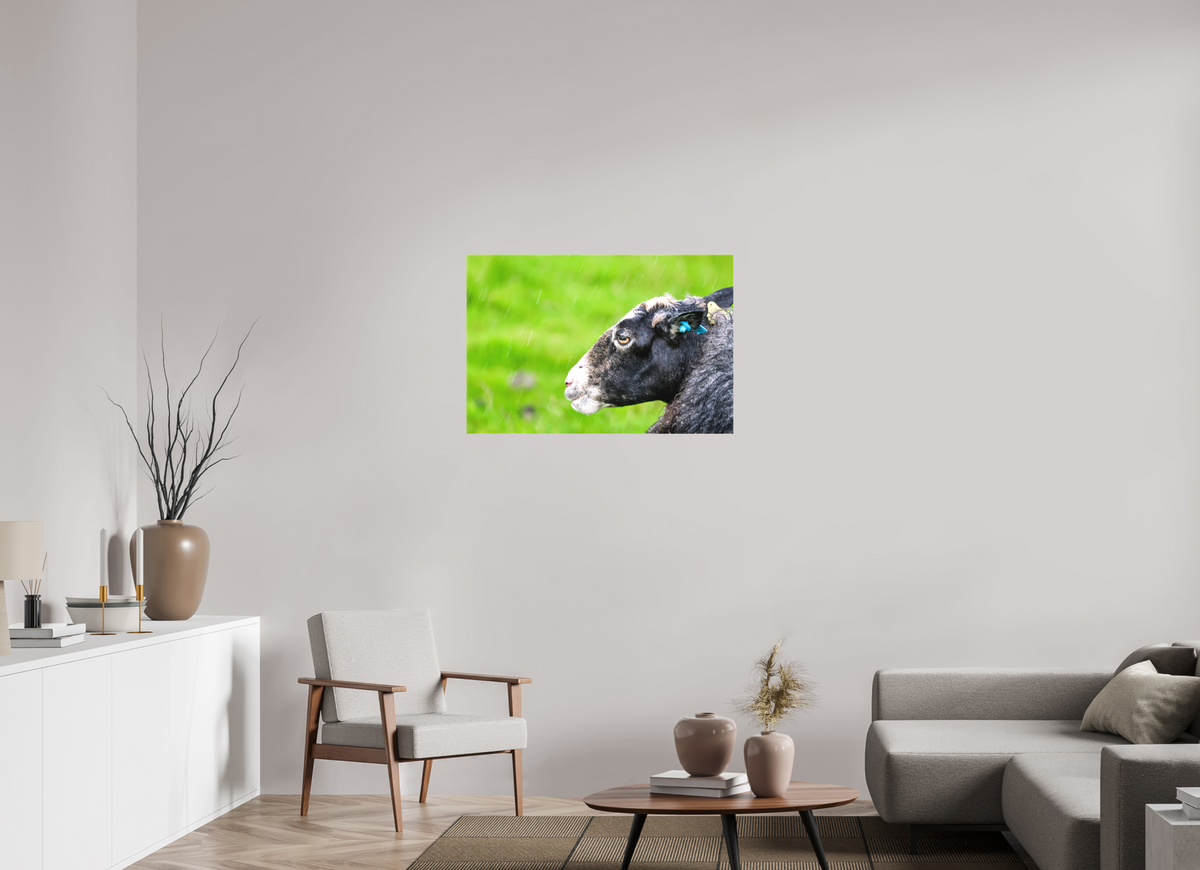 36 x 24″, Canvas Print Norway14