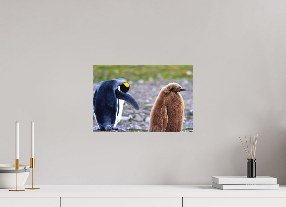 15 x 10″, Canvas Print A19