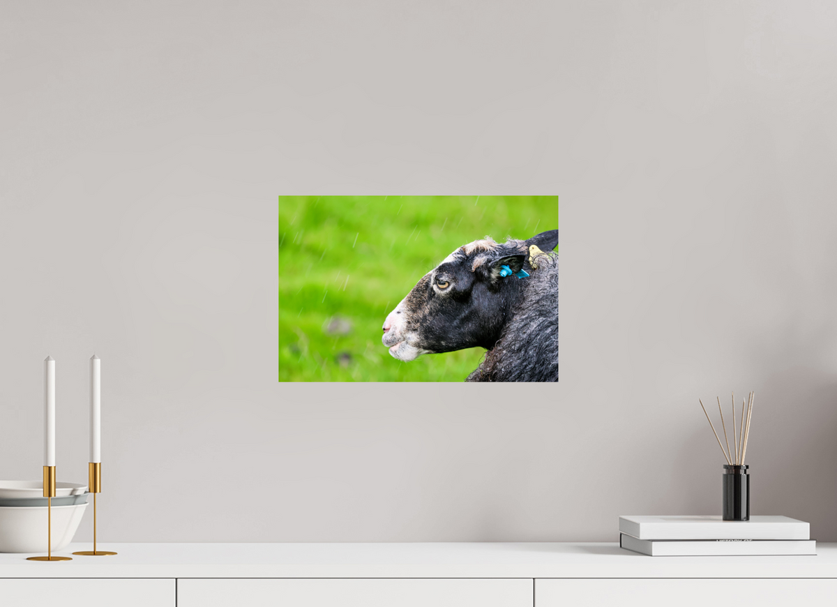 15 x 10″, Glossy Print (Unframed) Norway14