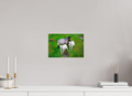 12 x 8″, Glossy Print (Unframed) Norway15